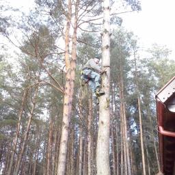 Wycinka Drzew, Drzew Trudnych, Usługi Leśne i inne - Najlepsze Koszenie Trawy Białystok