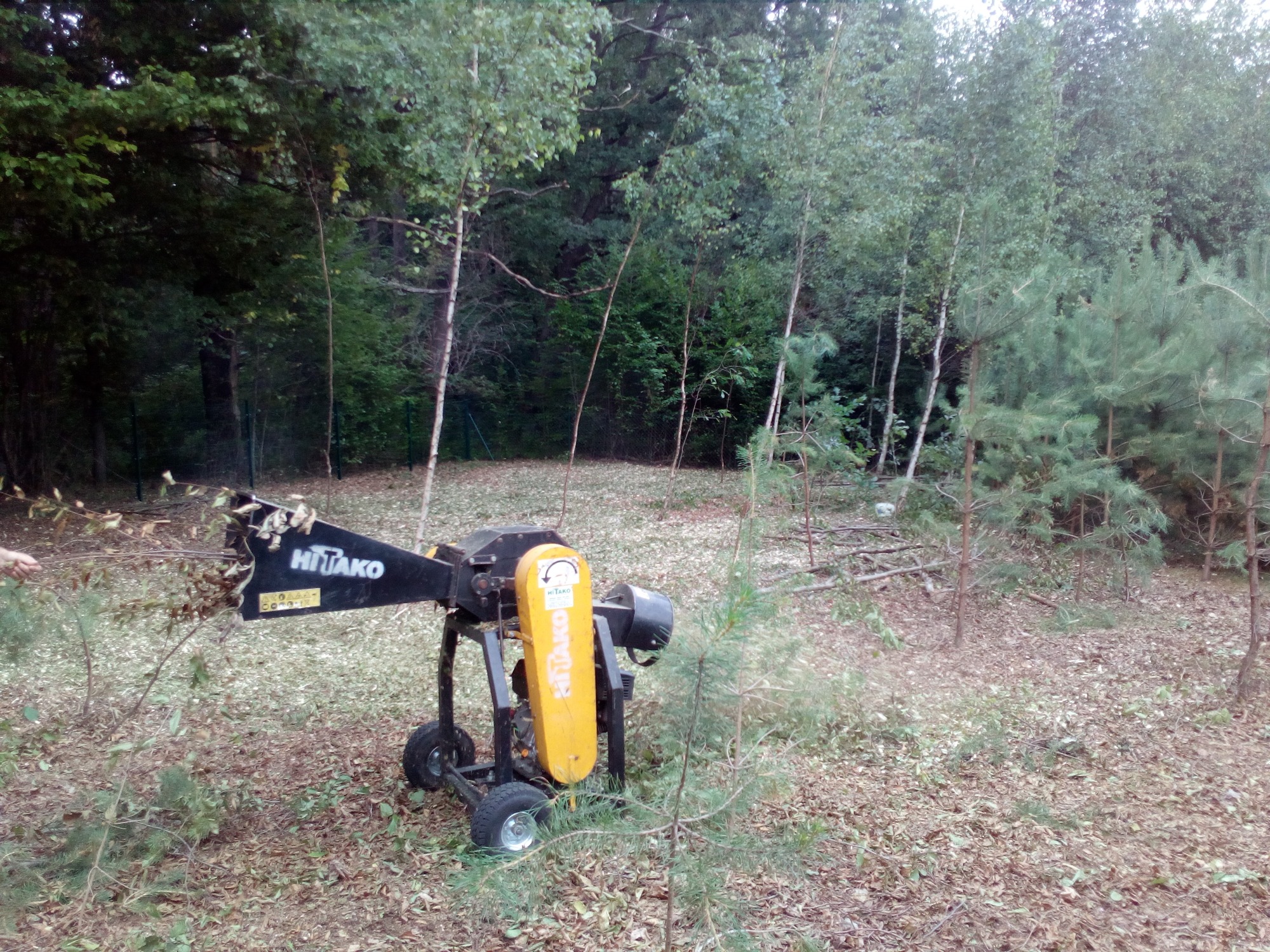 Żółto-czarny rozdrabniacz do gałęzi marki HITAKO w trakcie pracy, z widocznymi wiórami i gałęziami, na tle zalesionego terenu.