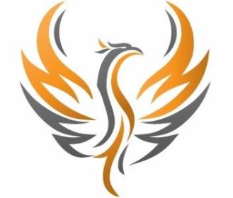 Usługi Księgowe FENIX Rafał Jakubik - Usługi podatkowe Wieleń