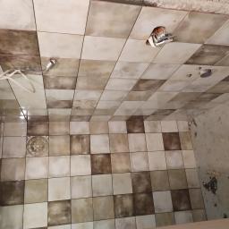 Glazurnik Przytoczna 2