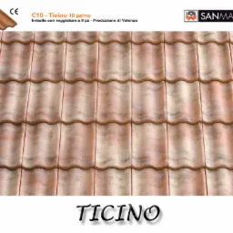 'Dachówka San Marco C10'