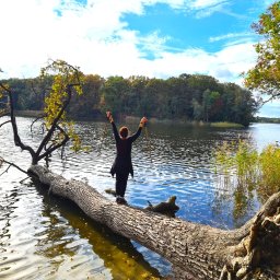 Ośrodek Szkolenia Sportowego Brzednia - Kobieta z kijkami do nordic walking stoi na powalonym drzewie w jeziorze, w tle las i błękitne niebo z chmurami.