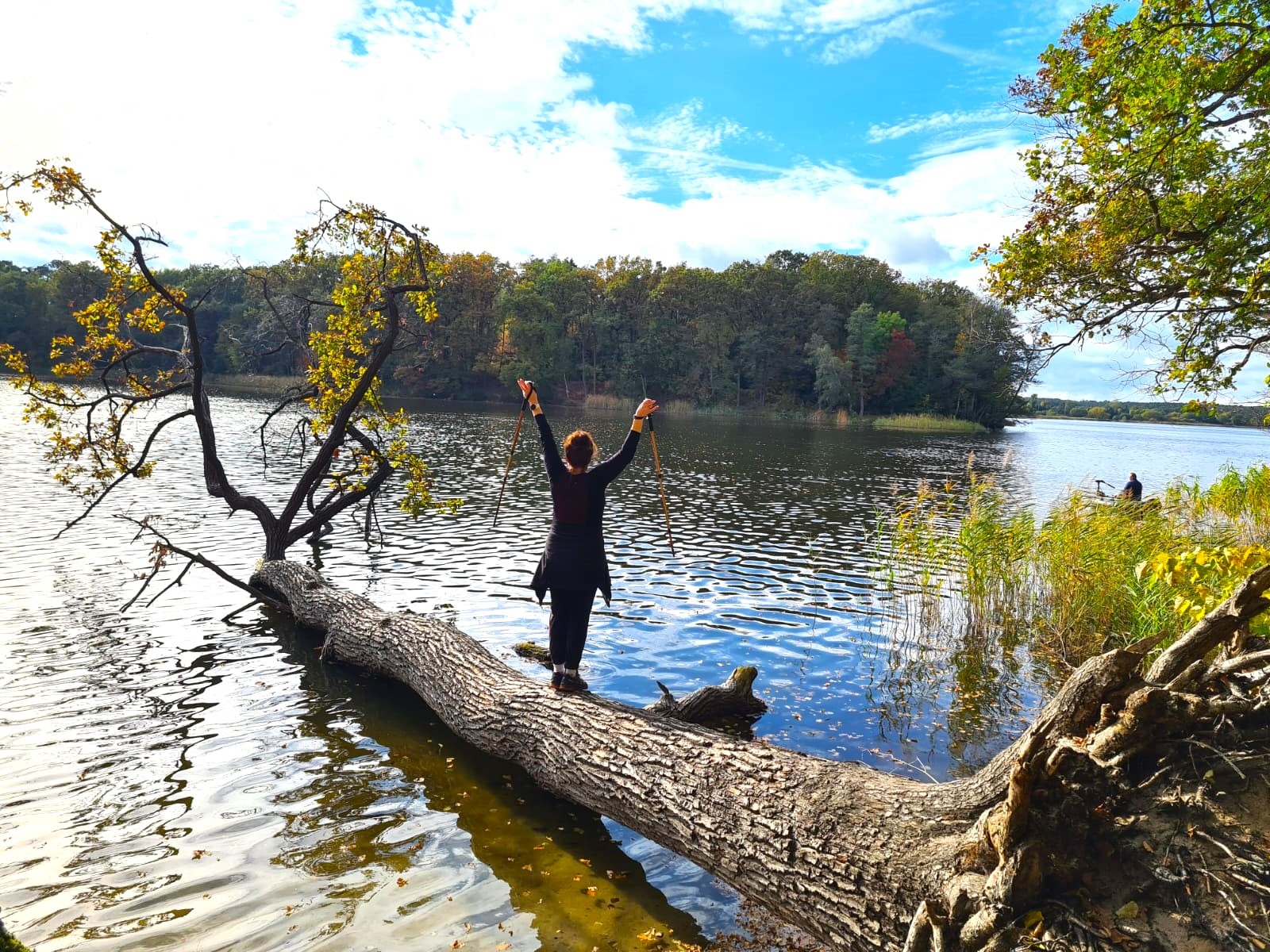 Kobieta z kijkami do nordic walking stoi na powalonym drzewie w jeziorze, w tle las i błękitne niebo z chmurami.