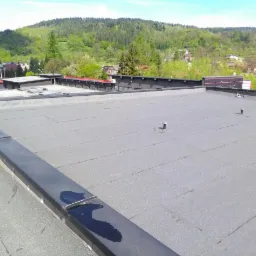 Szary dach pokryty papą termozgrzewalną na budynku przemysłowym, widoczne kominki wentylacyjne i obróbka blacharska z czarnym pasem, w tle zieleń wzgórz i zabudowa miejska.