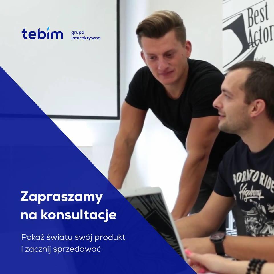 Dwóch mężczyzn przy laptopie podczas konsultacji, logo firmy Tebim w tle, napis 'Zapraszamy na konsultacje'.