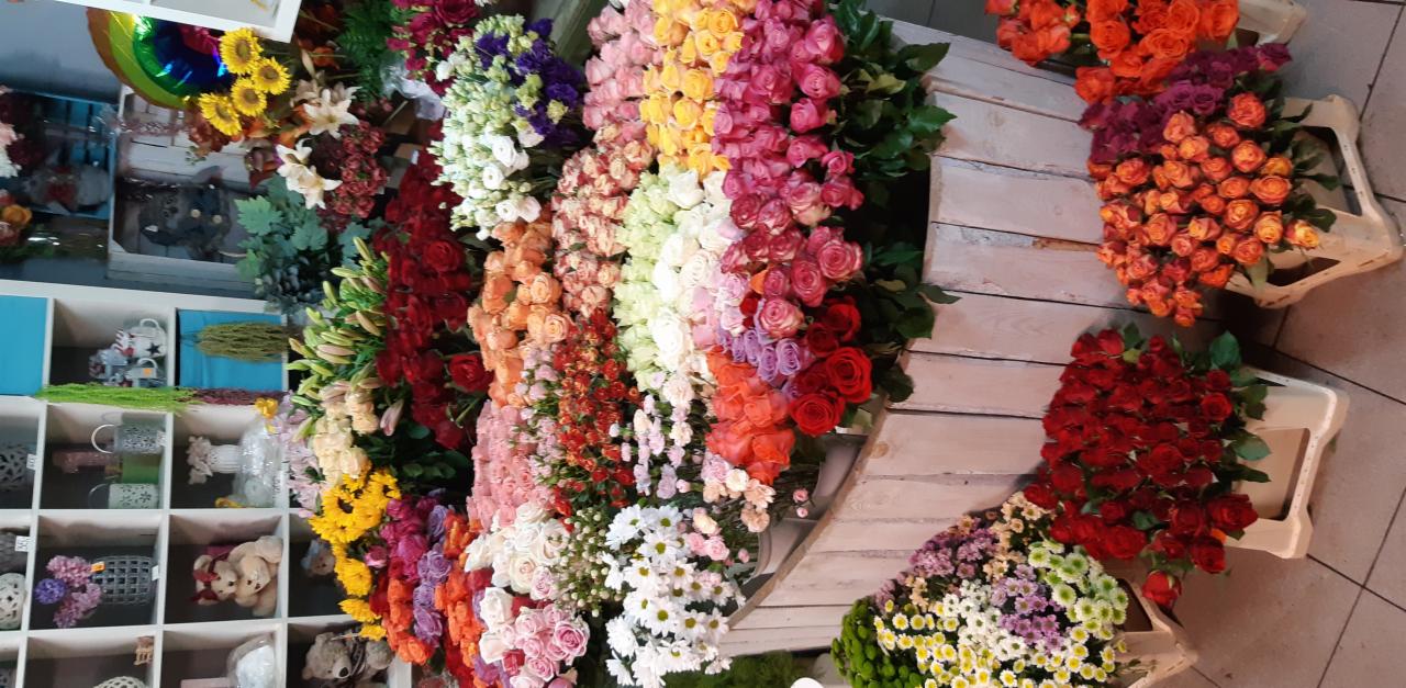 Bogaty wybór róż w różnych kolorach, ułożonych w rzędach na drewnianym regale w kwiaciarni, z pluszowymi zabawkami widocznymi w tle na półkach.