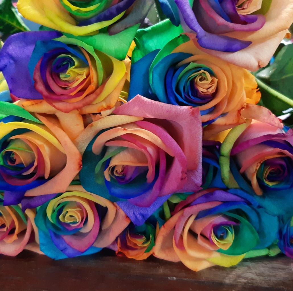 Bukiet tęczowych róż z wyraźnie widocznymi wielobarwnymi płatkami w odcieniach żółci, pomarańczy, różu, fioletu, zieleni i błękitu, ułożonych spiralnie.