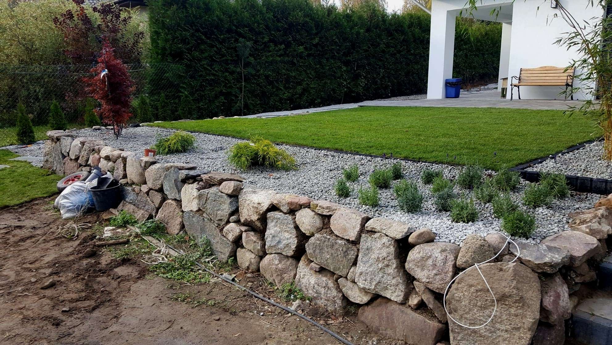 Ogród z kamienną rabatą, świeżo posadzoną trawą, ozdobnymi krzewami, wysypany drobnym żwirem, w tle tuje i biały budynek z drewnianą ławką.
