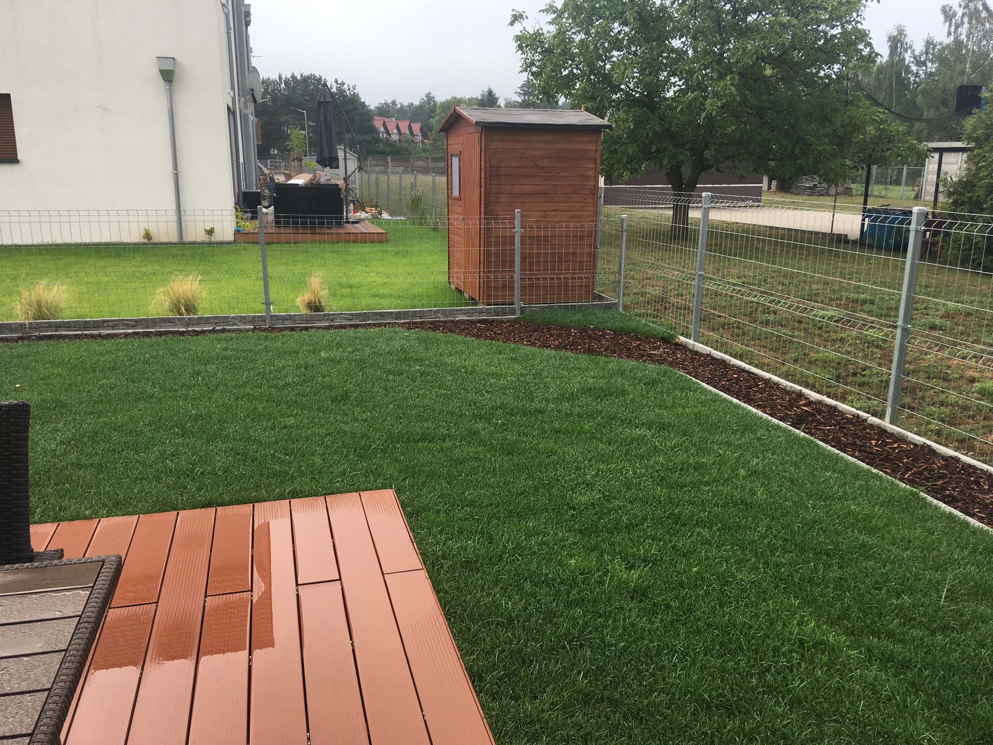 Nowo założony trawnik z drewnianym domkiem narzędziowym w tle, obrzeża z kory, widok z drewnianego tarasu po deszczu.