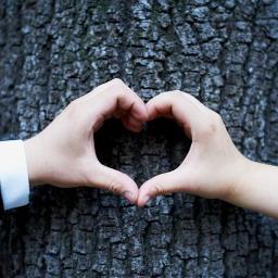 Fotografia produktowa Sosnowiec 4