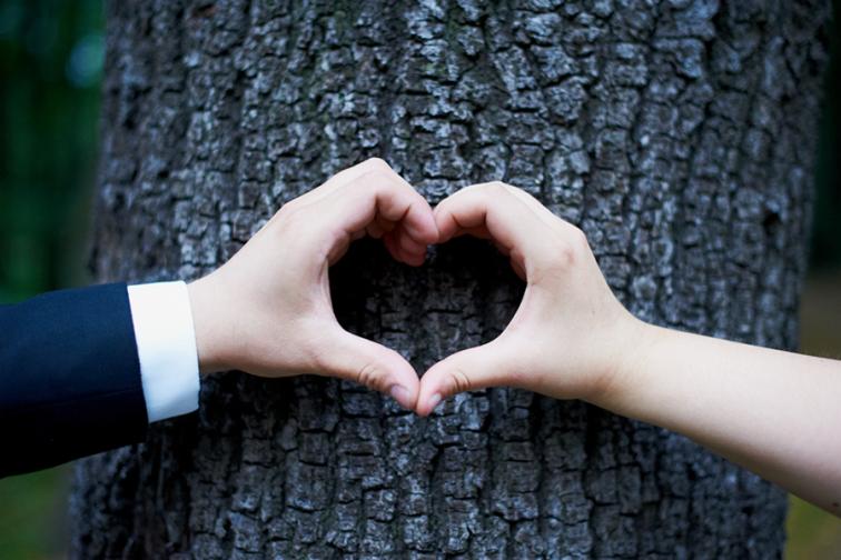 Dwie dłonie, jedna w mankiecie garnituru, druga bez, formują serce na tle kory drzewa.