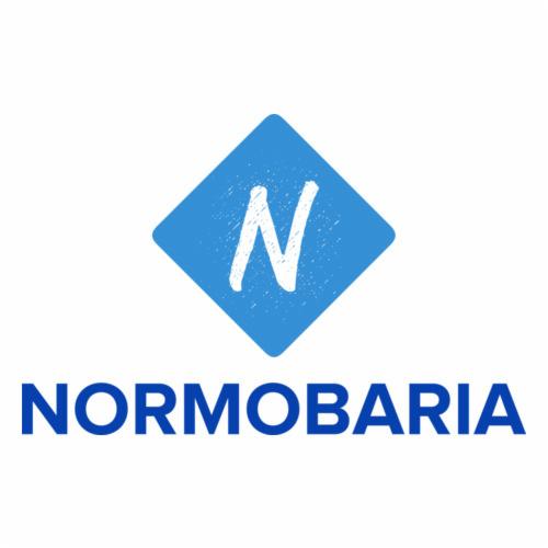 Logo firmy Normobaria z niebieskim rombem zawierającym literę N.