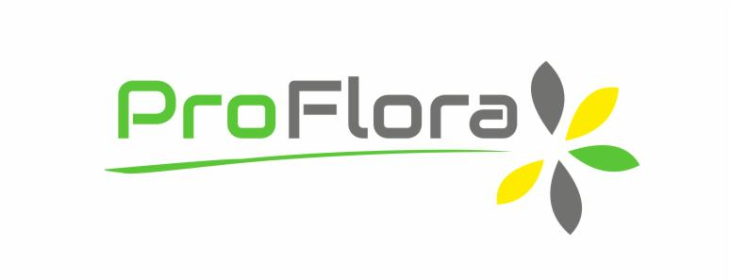 ProFlora - Odśnieżanie dachów Kiełpino