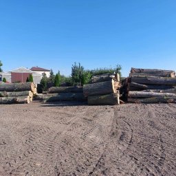 Pielęgnacja ogrodów Budzisław Kościelny 2