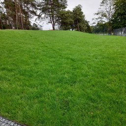 Pielęgnacja ogrodów Budzisław Kościelny 3