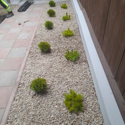 Pielęgnacja ogrodów Budzisław Kościelny 4