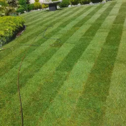 Perfekcyjnie skoszony trawnik z wyraźnymi pasami, zraszacz w tle, ozdobne krzewy i drzewa w ogrodzie, cień osoby w dolnym rogu.