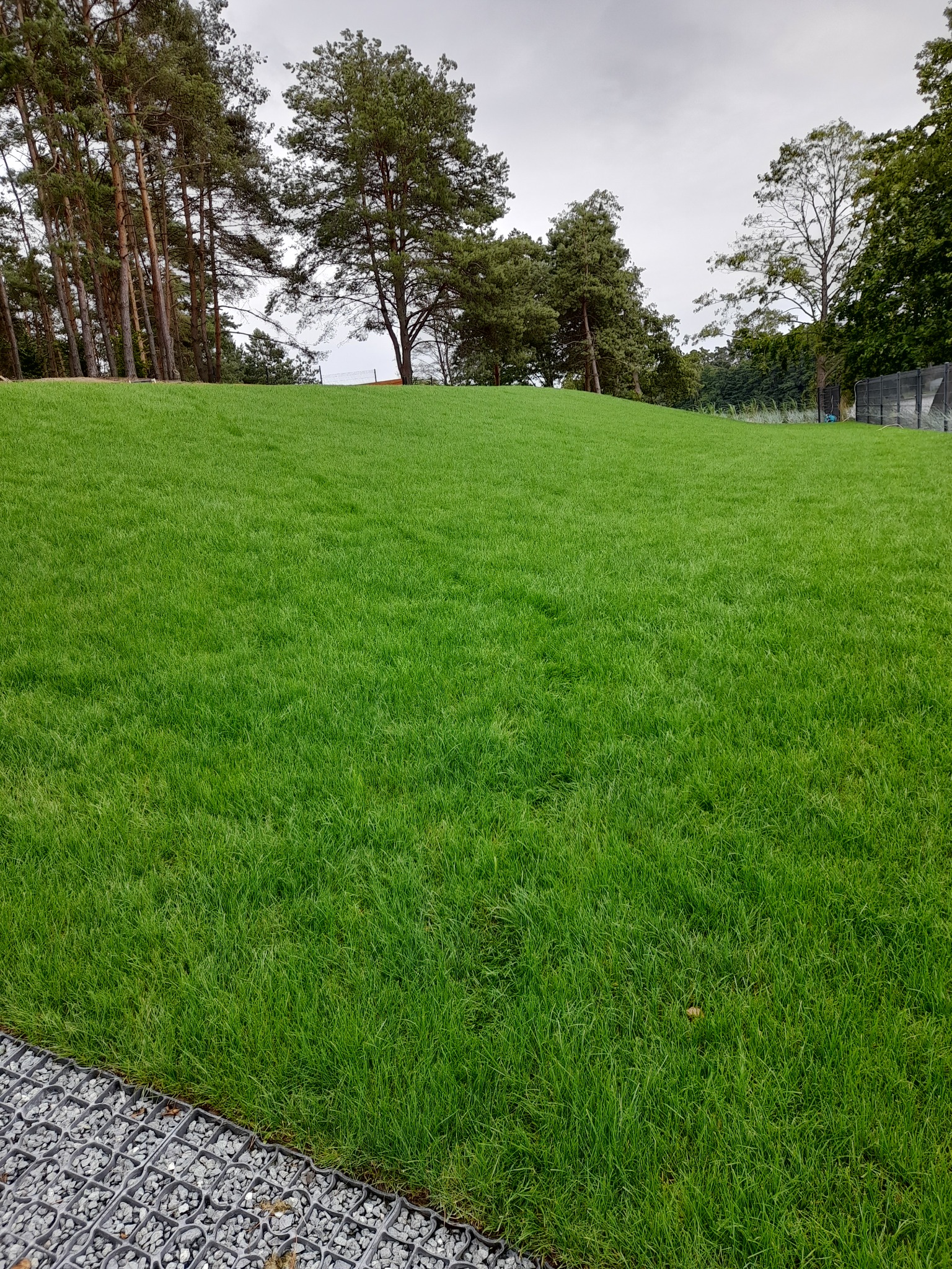 Świeżo założony trawnik z rolki na wzgórzu, obrzeże z gabionów, w tle drzewa iglaste i liściaste pod pochmurnym niebem.