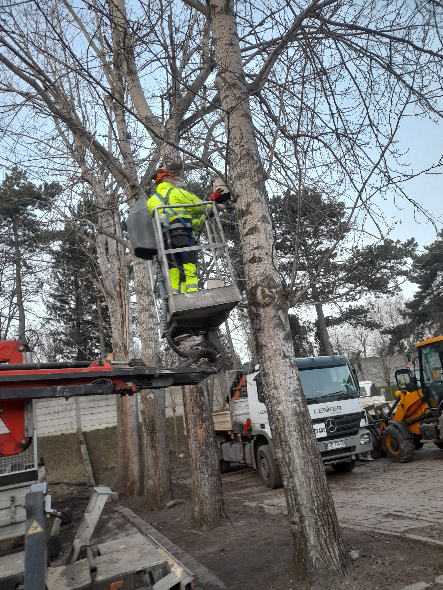 Pracownik w odblaskowej odzieży ochronnej, w podnośniku koszowym, przycina gałęzie drzewa za pomocą piły łańcuchowej; w tle widoczny ciężki sprzęt budowlany.