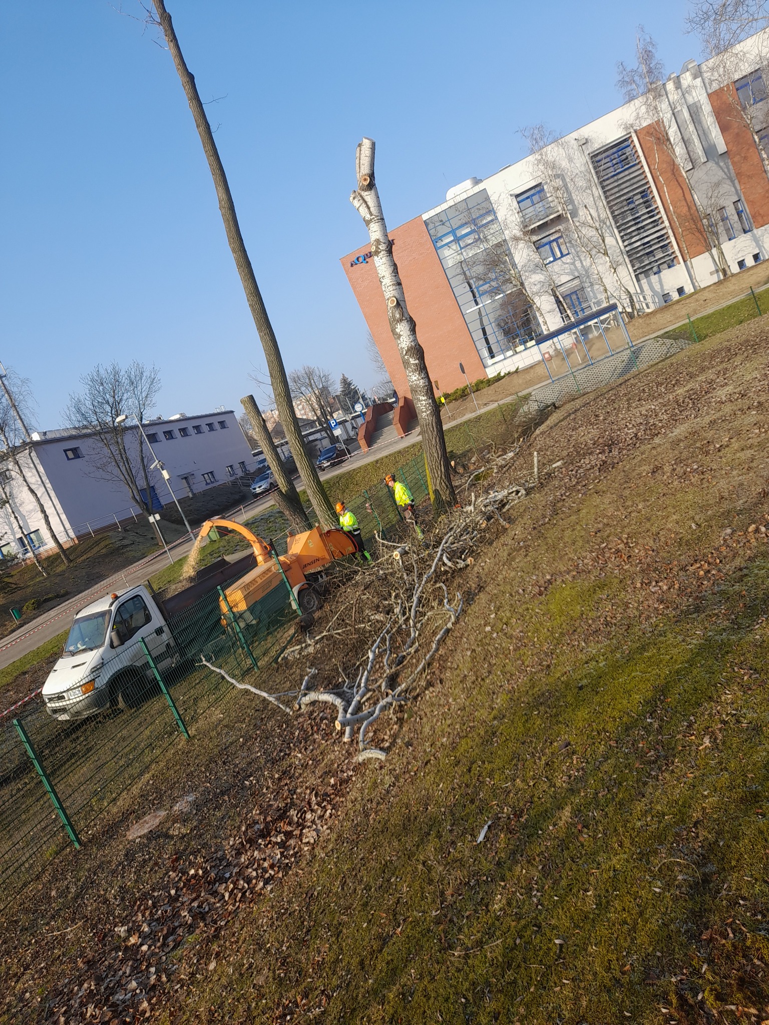Pracownicy w odblaskowych kamizelkach przy pniu drzewa obok rębaka do gałęzi załadowanego na przyczepę, w tle budynki.