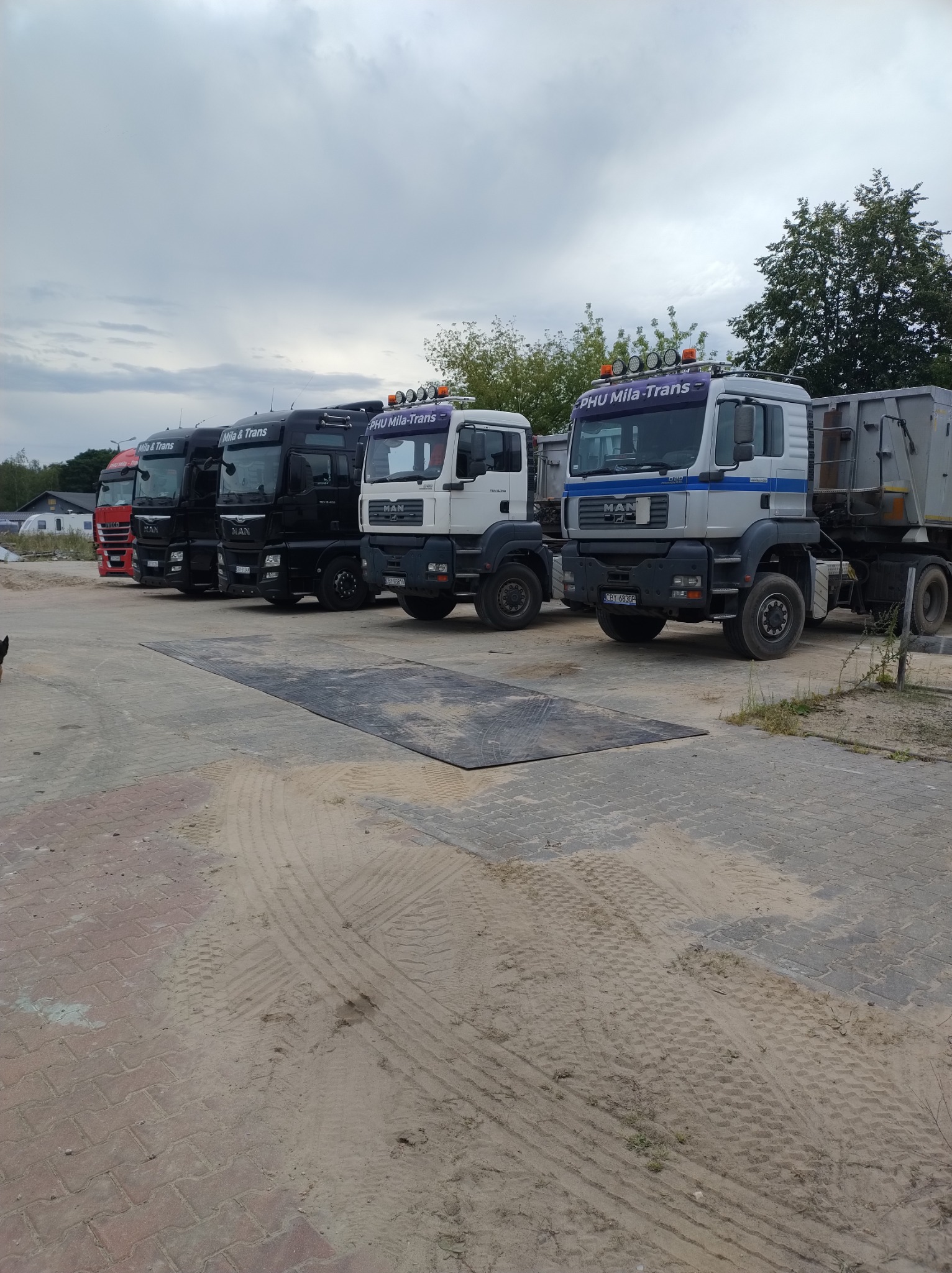 Rząd ciężarówek MAN firmy PHU Mila-Trans, stojących na placu z piaskiem i kostką, pod pochmurnym niebem.