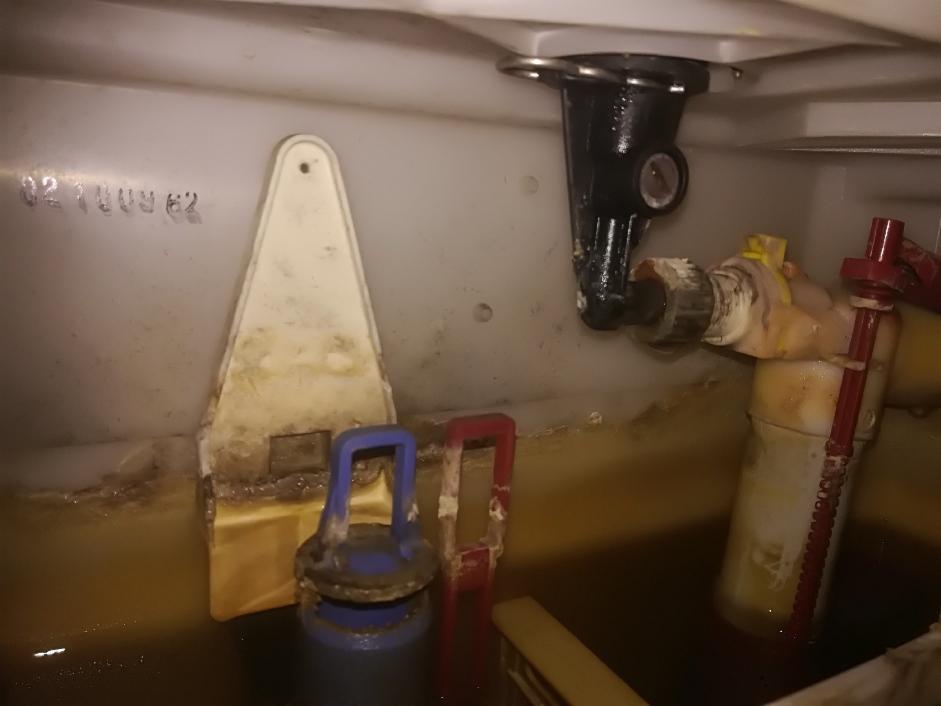 Wnętrze spłuczki toalety z widocznymi elementami: pływak, zawór dopływowy i spustowy, osad i zacieki na ściankach zbiornika.