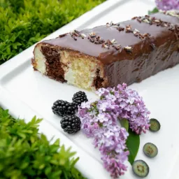 Przekrojone ciasto zebra polane czekoladą, posypane wiórkami, udekorowane jeżynami, gałązką bzu i przekrojonymi borówkami na białej tacy, z zielonym tłem.