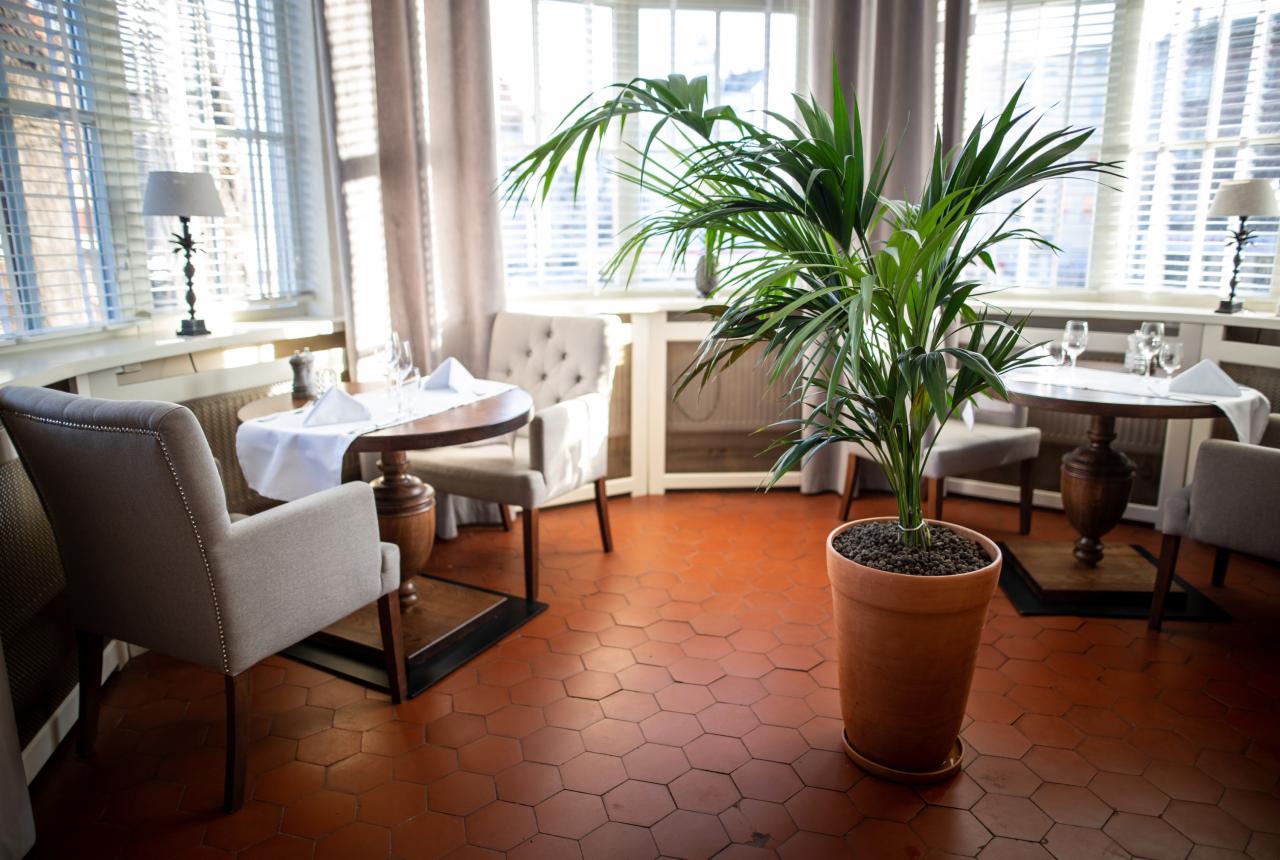 Eleganckie wnętrze restauracji z okrągłymi stolikami nakrytymi białymi obrusami, krzesłami w stylu retro, terakotową podłogą w kształcie plastra miodu i dużą rośliną doniczkową na pierwszym planie,...