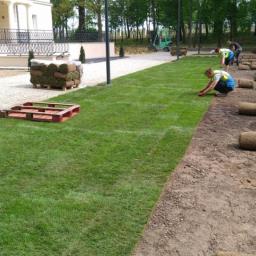 Pielęgnacja ogrodów Murowana Goślina 2