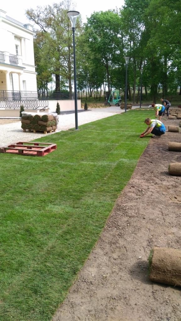Układanie trawy z rolki na posesji z eleganckim budynkiem w tle, widoczni pracownicy w trakcie pracy, paleta i zrolowane trawniki.