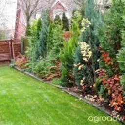 Zadbany ogród w Nowym Dworze Mazowieckim z równo przystrzyżonym trawnikiem, ozdobnymi iglakami i rabatą kwiatową w jesiennej kolorystyce. W tle widoczna drewniana huśtawka.