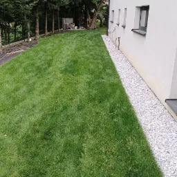 Widok z perspektywy trawnika przylegającego do białego budynku, oddzielonego pasmem białego żwiru, z drzewami iglastymi w tle.