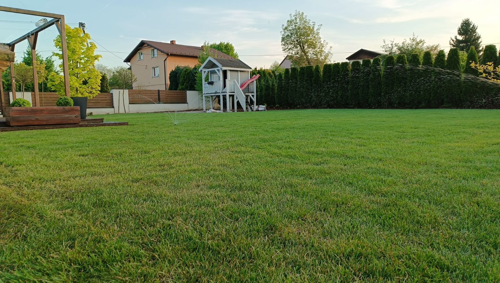 Automatyczny system nawadniania trawnika w ogrodzie z domkiem dla dzieci i tujami w tle, zraszacz rozpyla wodę