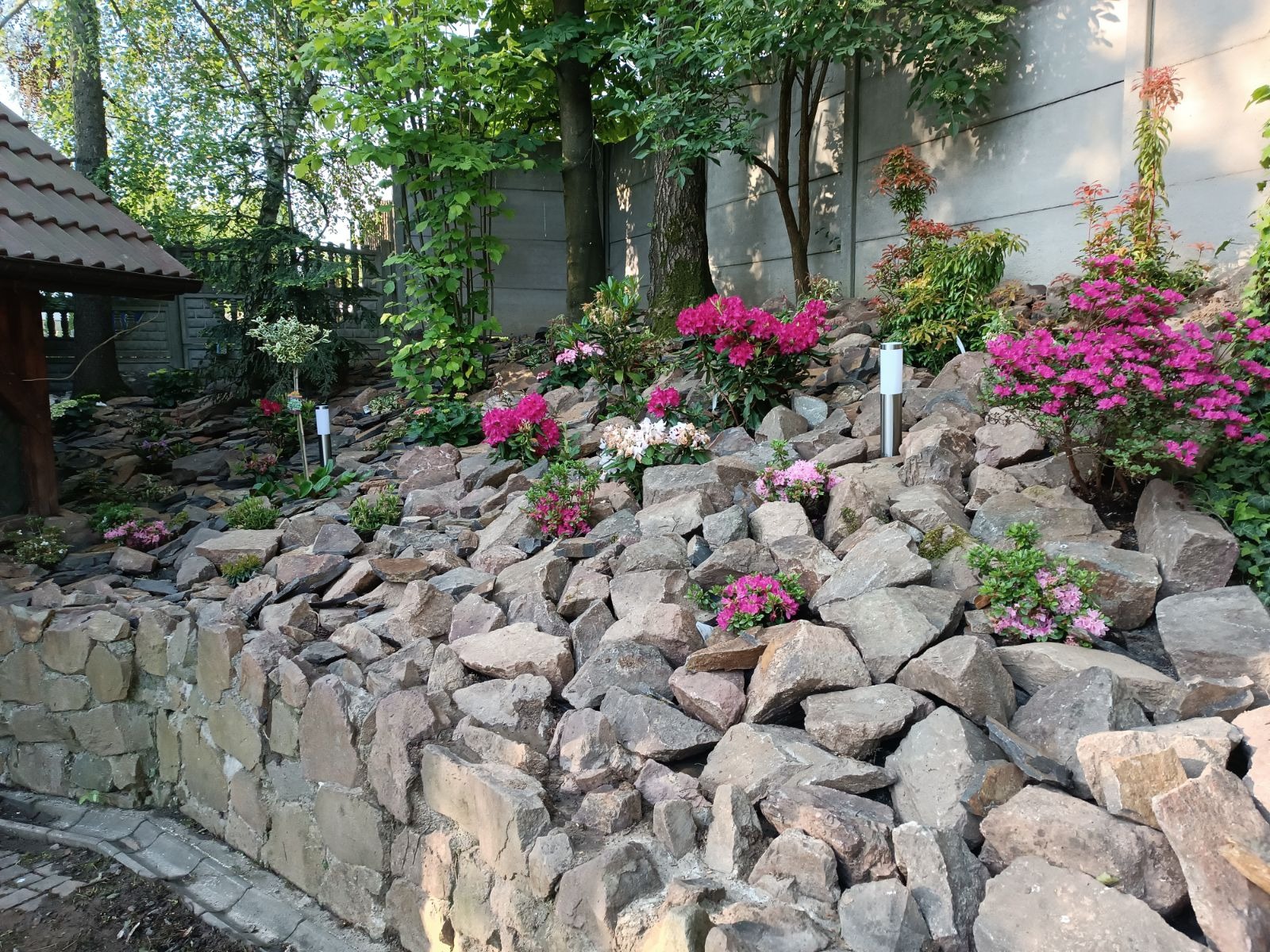 Skarpa z kamieni w ogrodzie, obsadzona różnokolorowymi rododendronami i innymi roślinami ozdobnymi, oświetlona lampami ogrodowymi, z widocznym fragmentem altany i betonowym ogrodzeniem w tle.