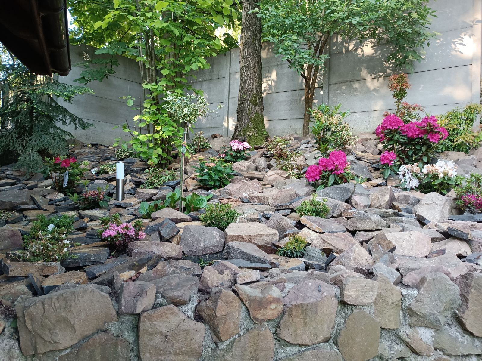 Skarpa ogrodowa z kamieni, obsadzona różnorodnymi roślinami kwitnącymi na różowo i biało, z pojedynczym drzewem i betonowym murem w tle.