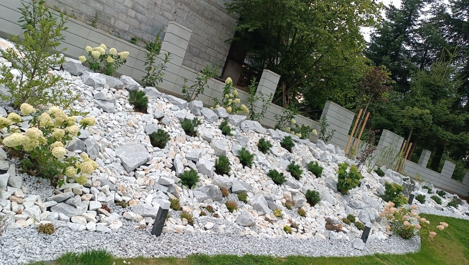 Skarpa w ogrodzie wysypana białymi kamieniami, z nasadzeniami krzewów, drzewek i hortensji w odcieniach bieli i zieleni przy betonowym murku.