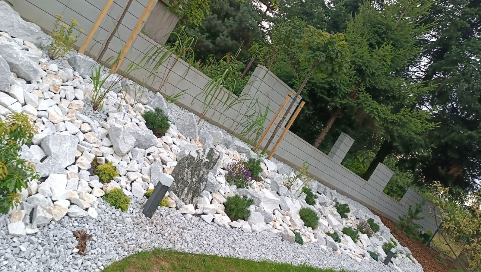 Skarpa w ogrodzie z białymi kamieniami, ozdobnymi trawami i niskimi krzewami iglastymi, podświetlona lampą ogrodową, z betonowym ogrodzeniem w tle.