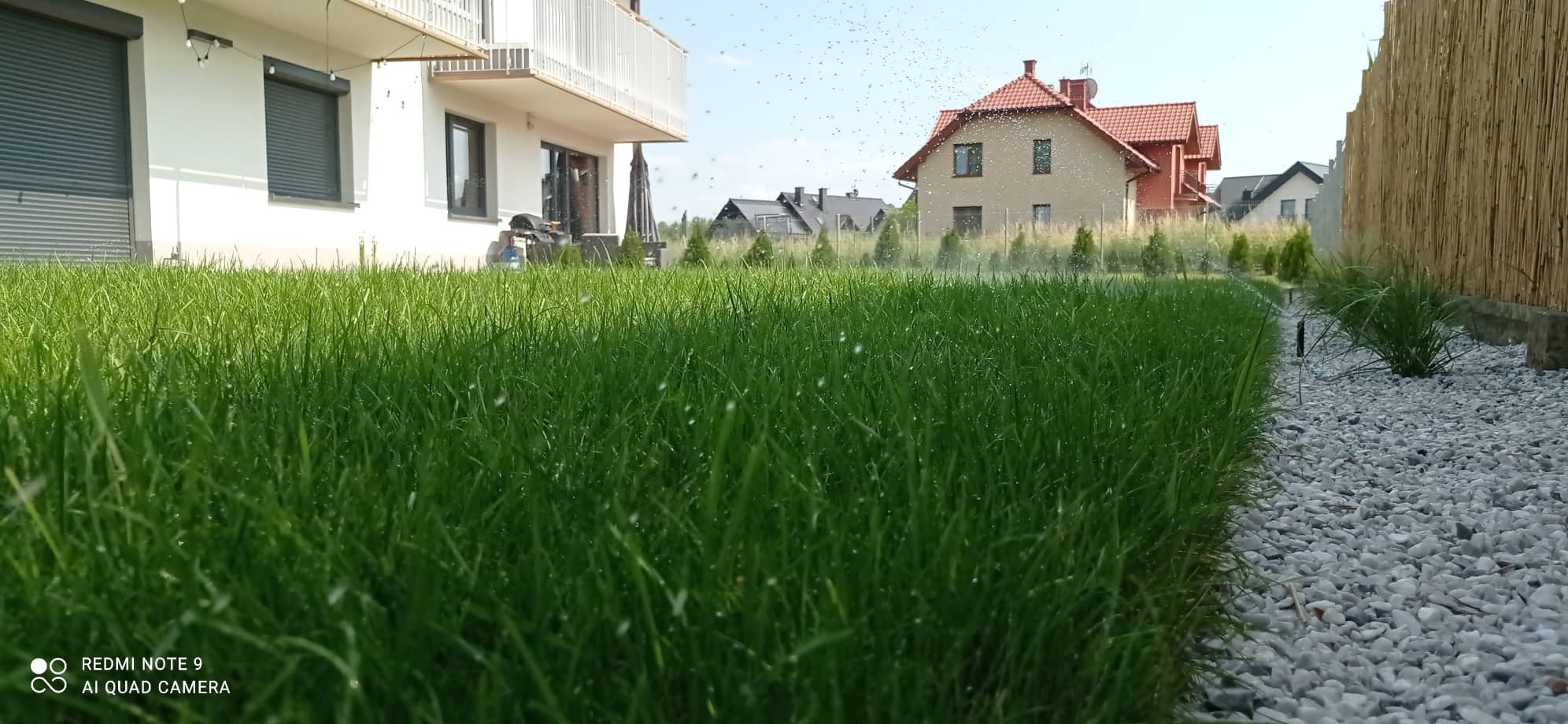 Automatyczny system nawadniania trawnika zraszający świeżo skoszoną trawę, widoczne dysze rozpylające wodę i białe kamienie dekoracyjne.