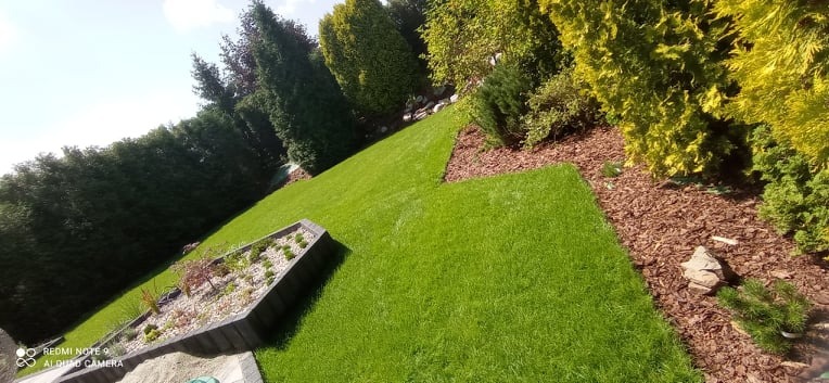 Ułożony trawnik z rolki na zboczu, z obrzeżami z kory i roślinami w donicach z betonu.