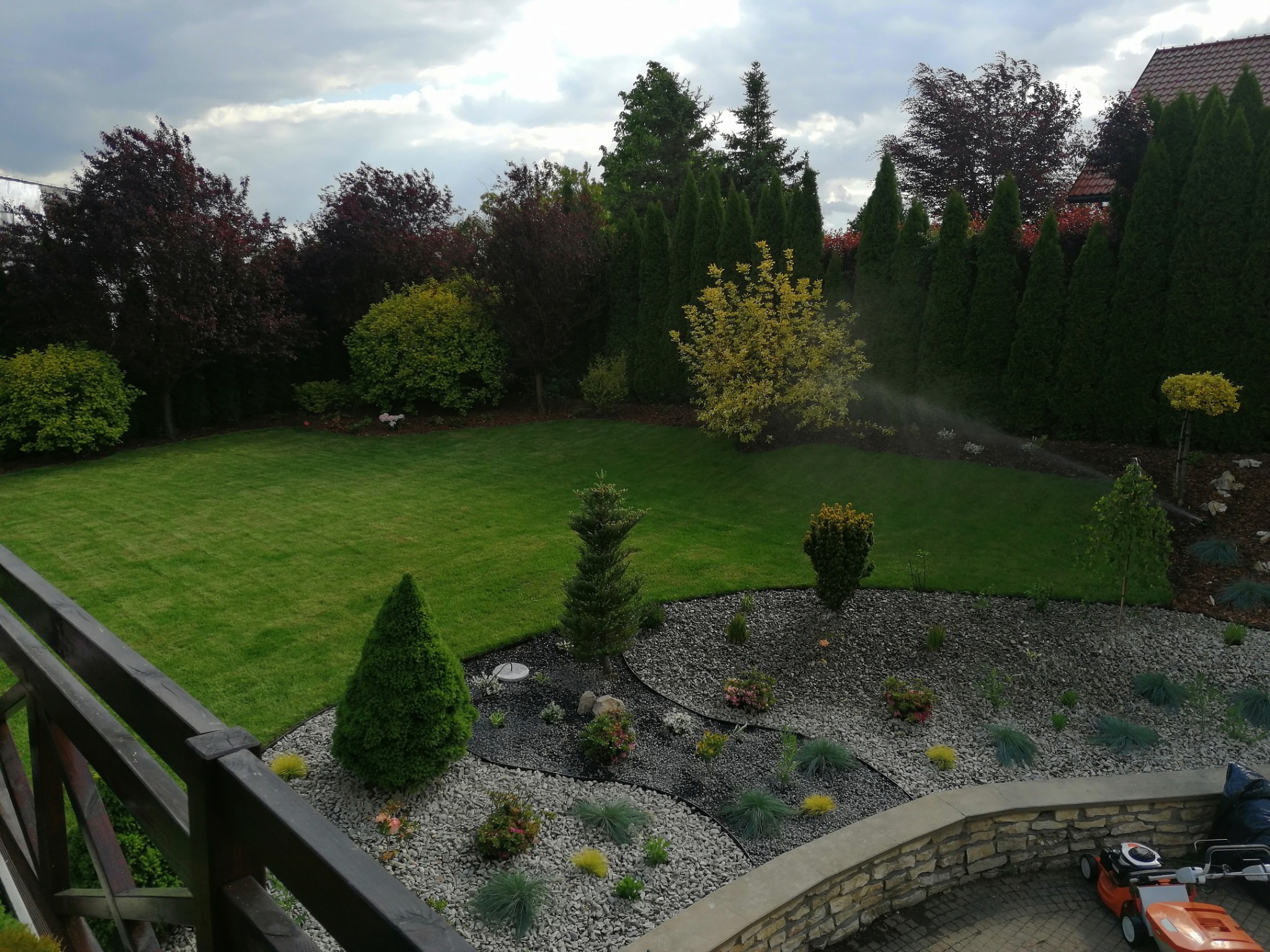 Zadbany ogród z równo przystrzyżonym trawnikiem, ozdobnymi krzewami i drzewami iglastymi, system nawadniania włączony, widoczna kosiarka na kostce brukowej.