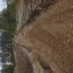 Świeżo przygotowany, wyrównany teren pod przyszłą drogę lub chodnik, widoczne ślady po maszynach, drzewa w tle.