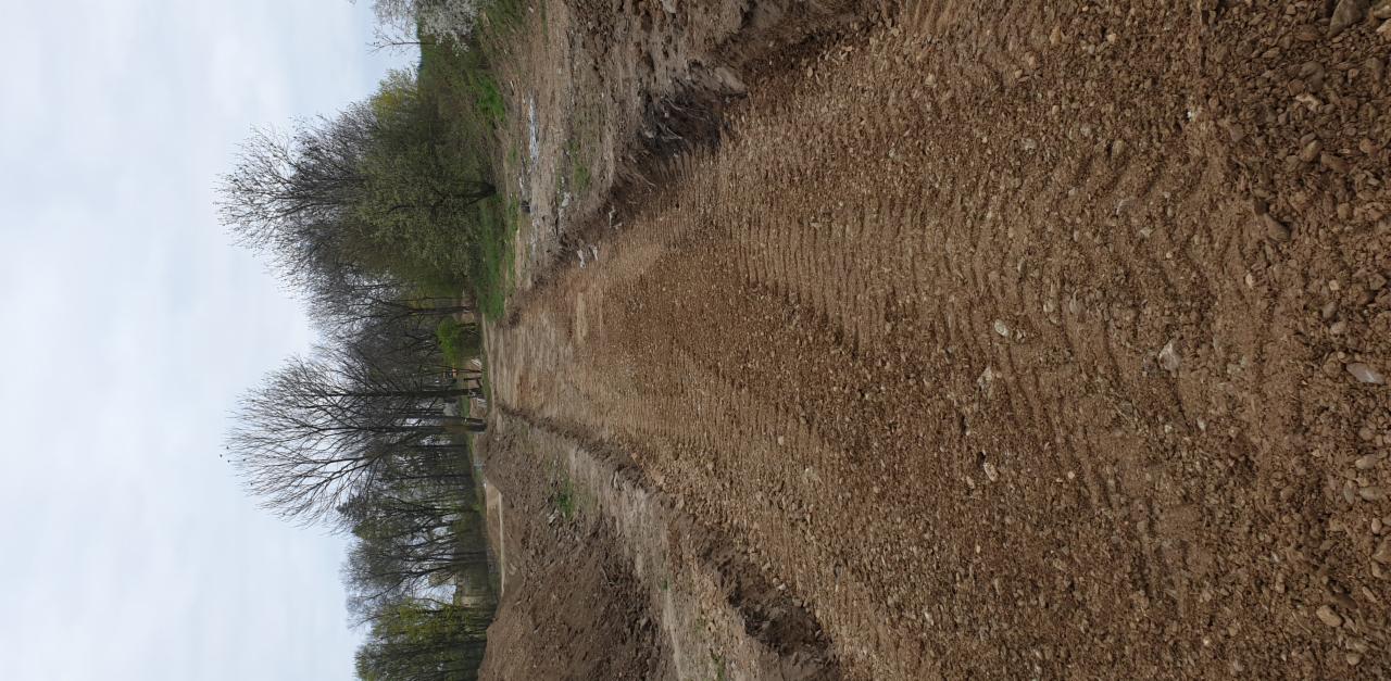 Świeżo przygotowany, wyrównany teren pod przyszłą drogę lub chodnik, widoczne ślady po maszynach, drzewa w tle.