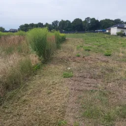 Świeżo skoszona trawa tworzy ścieżkę przez pole z wysoką, zieloną roślinnością, w tle widoczny dom i drzewa pod pochmurnym niebem.