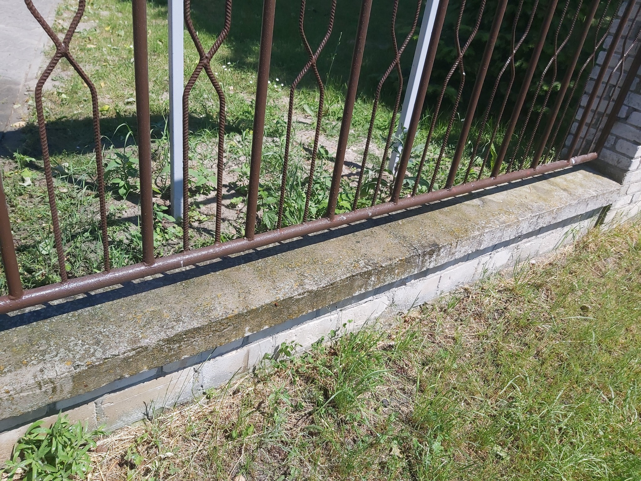 Fragment ogrodzenia z brązowych, kutych prętów na betonowej podmurówce, otoczonej zielenią i trawą.