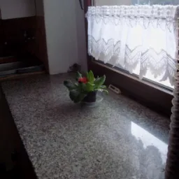 Granitowy blat okienny w kuchni z małą doniczką z czerwoną rośliną i białą koronkową firanką w oknie.