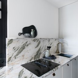 TOMASZ KRALKA FIRMA HANDLOWO USŁUGOWA STOLMAX - Nowoczesna kuchnia z marmurowym blatem i czarną płytą indukcyjną. Złota bateria i minimalistyczne szafki w odcieniach szarości. Dekoracje na blacie dodają charakteru.