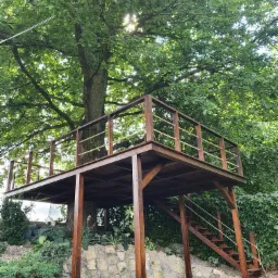 Platforma widokowa z drewnianą konstrukcją otaczająca pień dużego drzewa, ze schodami z linowymi poręczami i kamiennym murem oporowym w tle.