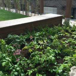 Zielony dach z roślinami i kwiatami, drewniana konstrukcja pergoli z widocznym trawnikiem w tle, ceglany budynek w tle.