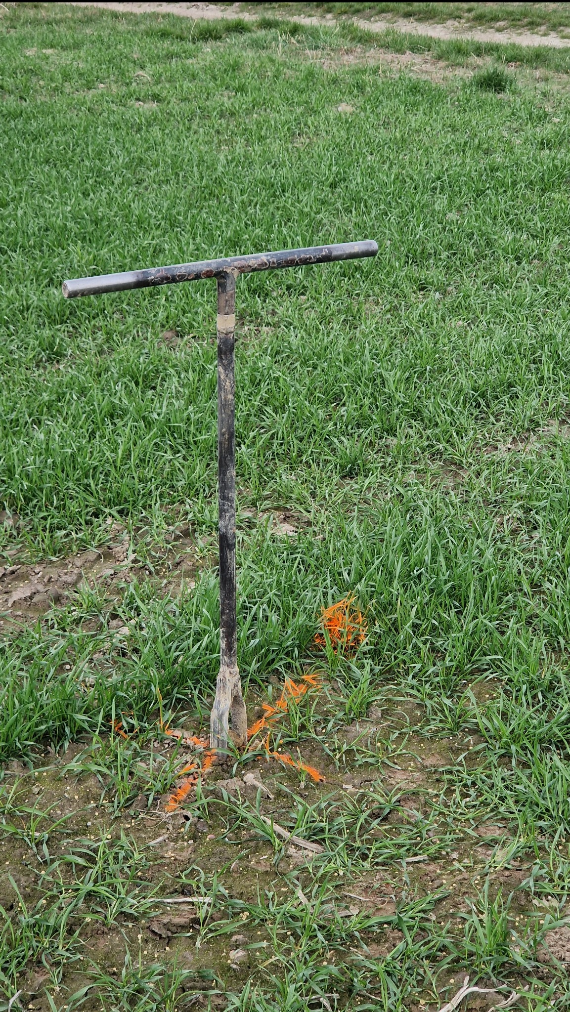 Próbnik glebowy wbity w ziemię na zarośniętym polu, obok widoczne pomarańczowe oznaczenia w ziemi.