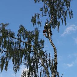 Pielęgnacja ogrodów Gdynia 21